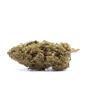 CBD Greenhouse Orange Bud