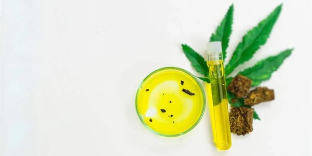 Sous quelle forme trouver du CBD ?