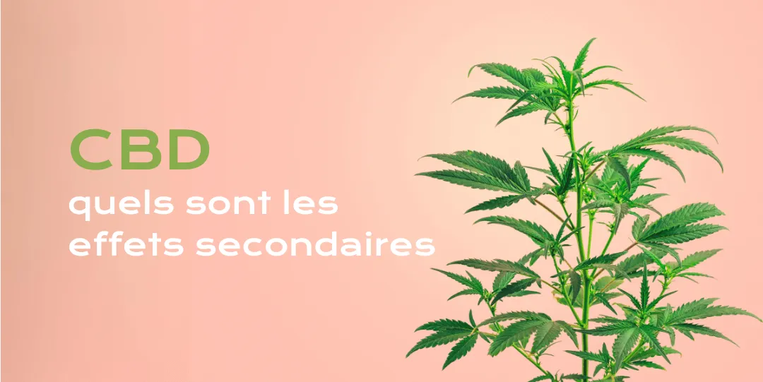 Guide des effets indésirables du CBD