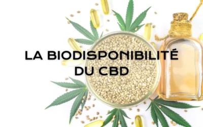 La biodisponibilité du CBD : Comprendre l’absorption et optimiser l’efficacité