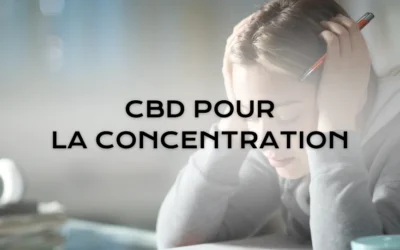 CBD pour la concentration : comment le cannabidiol peut-il vous aider ?