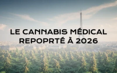 Cannabis médical en France : un report à 2026 qui déçoit patients et acteurs du secteur