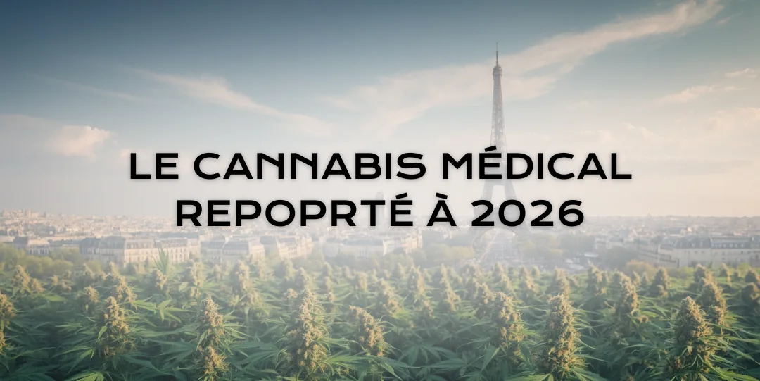 Report de la légalisation du cannabis médical