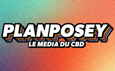 Planposey teste, compare, critique : une approche média qui bouscule le monde du CBD