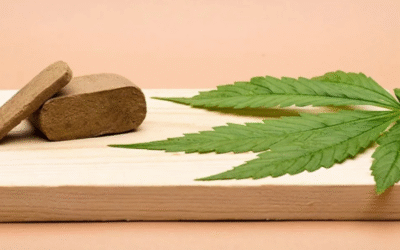 Le hash CBD : un concentré de bienfaits naturels