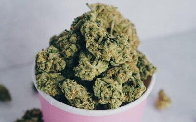 Top 5 des fleurs de CBD puissantes à découvrir en 2026