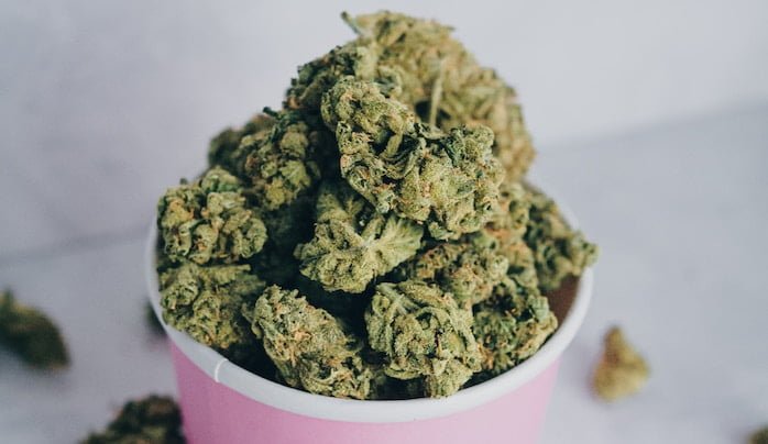top 10 fleurs cbd Quelle est la fleurs CBD la plus puissante. en ce moment ?